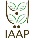 My Website